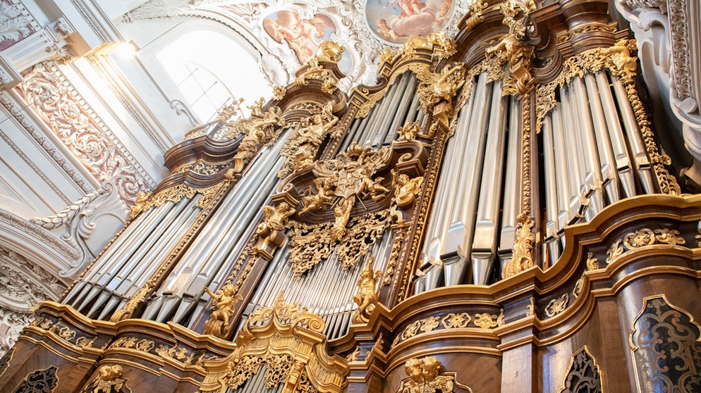 Die Orgel: Mächtig-zarte Königin, News und Kritik