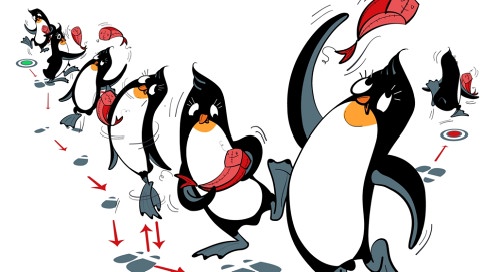 Pinguin stellt sich vor | Bildquelle: BR | Tanja Begovic