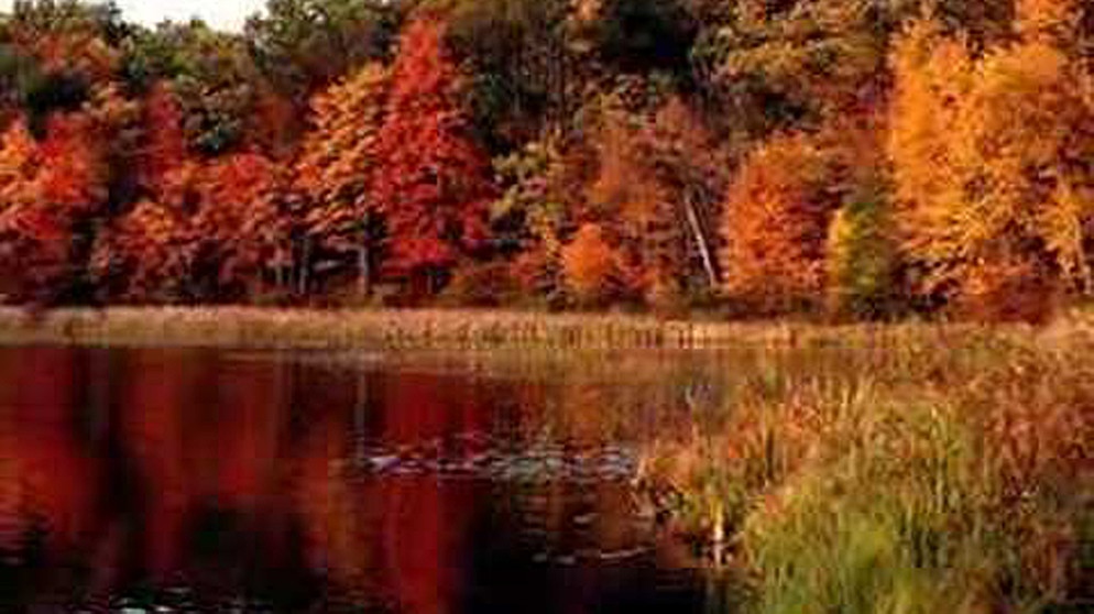Loreena McKennitt - Let Us the Infant Greet | Bildquelle: mixailaggelos2004 (via YouTube)