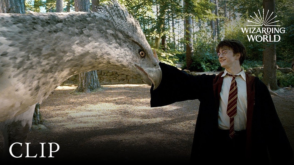 Meet Buckbeak | Harry Potter and the Prisoner of the Azkaban | Bildquelle: Wizarding World (via YouTube)