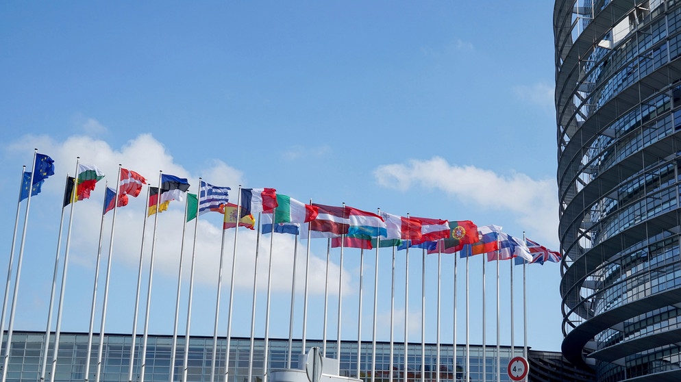 Flaggen vor dem Europaparlament | Bildquelle: picture-alliance/dpa