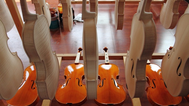 Ansicht einer Violine | Bildquelle: picture-alliance/dpa