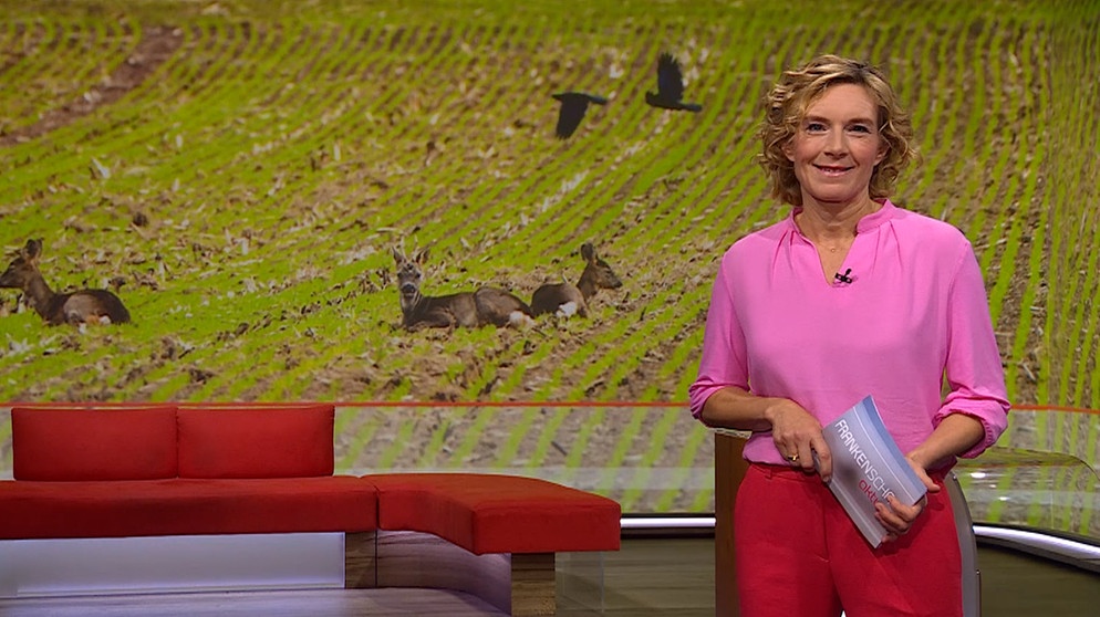 Moderatorin Julia Büchler in der Frankenschau aktuell vom 16. Oktober | Bildquelle: BR