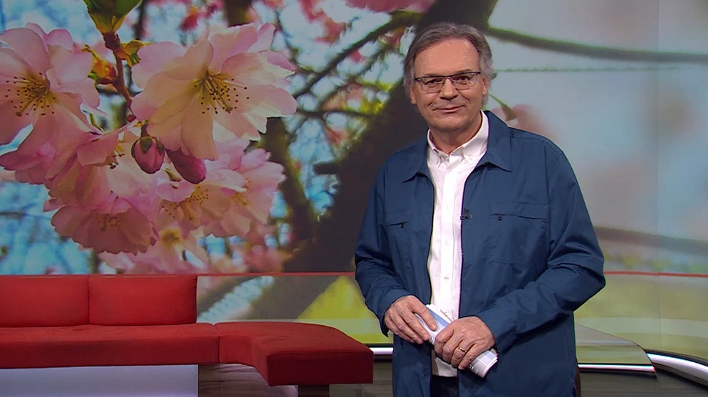Moderator Charly Hilpert in der Frankenschau aktuell vom 21. März | Bildquelle: BR