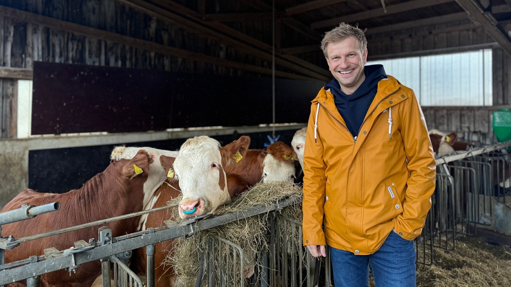 "Unser Land"-Moderator Florian Kienast im Kuhstall | Bildquelle: BR/Laura Zirkel