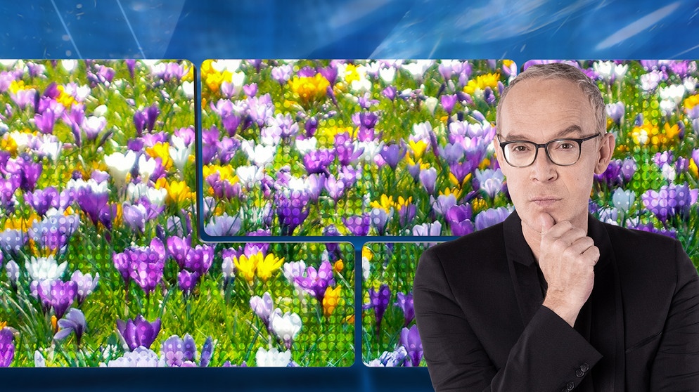 quer vom 06.03.2025 | Bildquelle: refresh(PIX) - stock.adobe.com ; Montage: BR