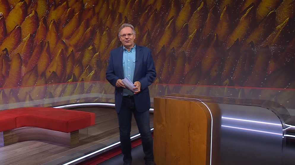 Moderator Charly Hilpert moderiert die Frankenschu aktuell | Bildquelle: BR