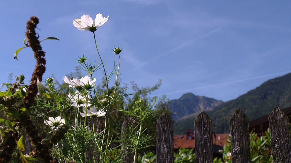 Unter unserem Himmel - Das Achental - Auf dem Weg in eine nachhaltige Zukunft | Bildquelle: BR