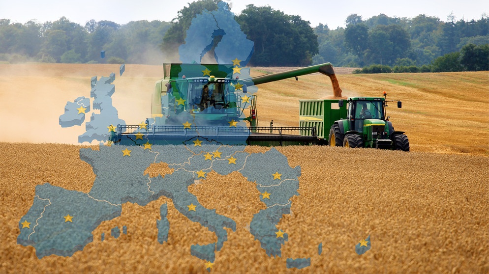 Entwicklung der europäischen Agrarpolitik in den letzten Jahrzehnten | Bildquelle: colourbox.com; Montage: BR