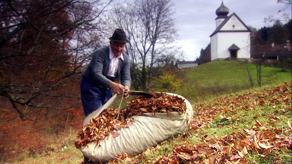 Matthias Klaisl, Landwirt in Wamberg, beim Laubsammeln. | Bildquelle: BR/BR