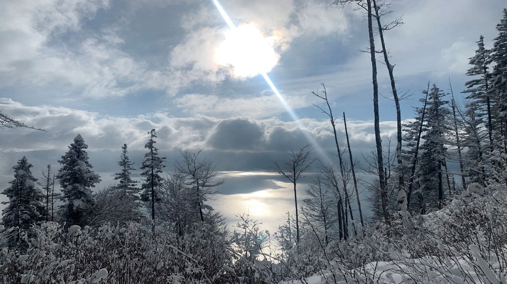 Blick in den Himmel  | Bildquelle: BR/ Elisabeth Tyroller 
