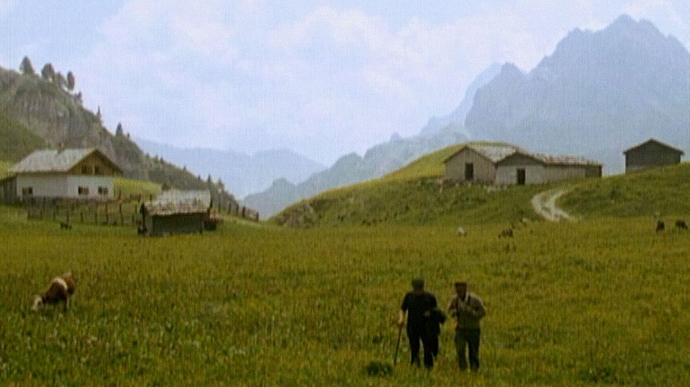 Aus dem Film "Almsagen", 1996 | Bildquelle: BR/Peter Treutler und Martin Prucker