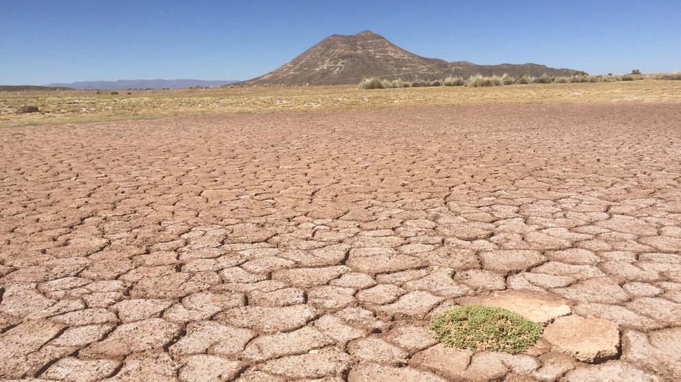 Aufgrund der Erderwärmung kommt es in vielen Gebieten zunehmend zu einer Versteppung, wie auf dem Bild im Hochland Boliviens nahe des einst zweitgrößten See des Landes, dem Lago Poopó. | Bildquelle: picture-alliance/dpa