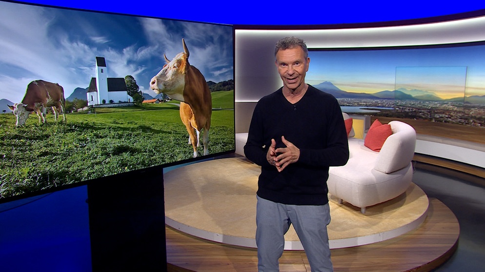 BR-Moderator Roman Roell im Studio | Bildquelle: BR