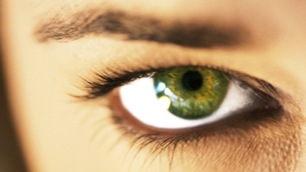 Auge | Bildquelle: colourbox.com