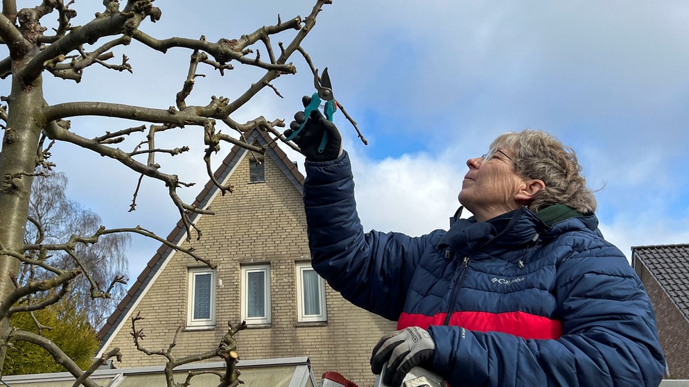 Frau auf Leiter | Bildquelle: Picture alliance/dpa