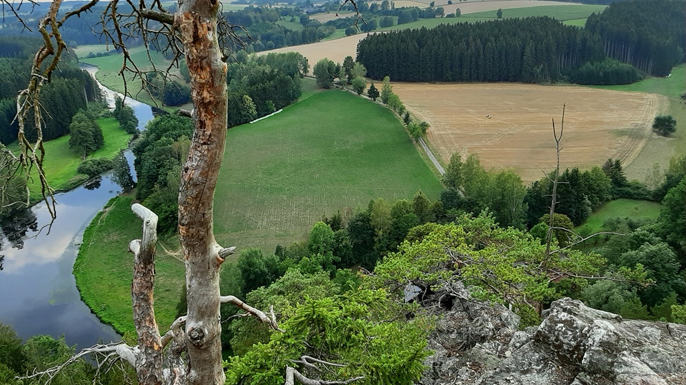 Blick auf die Saaleschleife vom Petersgrad. | Bildquelle: BR/Michael Appel