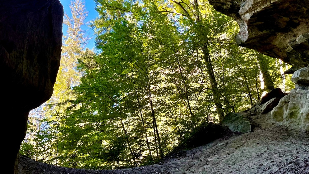 Die Schnalzhöhlen dienten angeblich einst als Zufluchtsorte in Kriegszeiten. Heute liegen sie in einem ausgedehnten Naturwald, in dem kein Baum mehr gefällt wird. Die Natur darf sich hier entwickeln, wie sie will. | Bildquelle: BR/Jens-Uwe Heins/Jens-Uwe Heins
