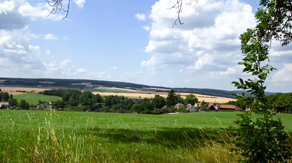 Landschaft an der Wondreb | Bildquelle: BR