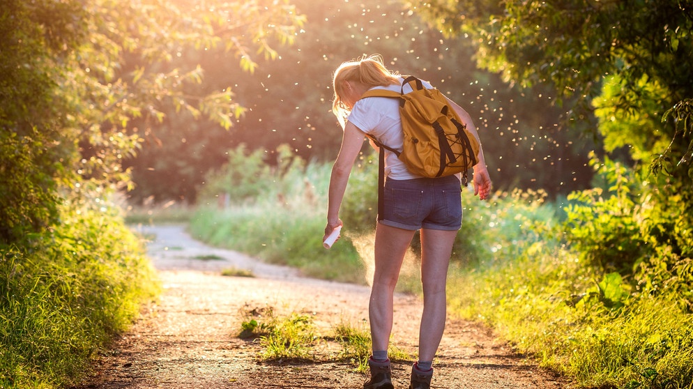 Frau sprüht sich beim Wandern mit Anti-Mücken-Spray ein, im Umfeld ein Mückenschwarm | Bildquelle: mauritius images / Zbynek Pospisil / Alamy / Alamy Stock Photos