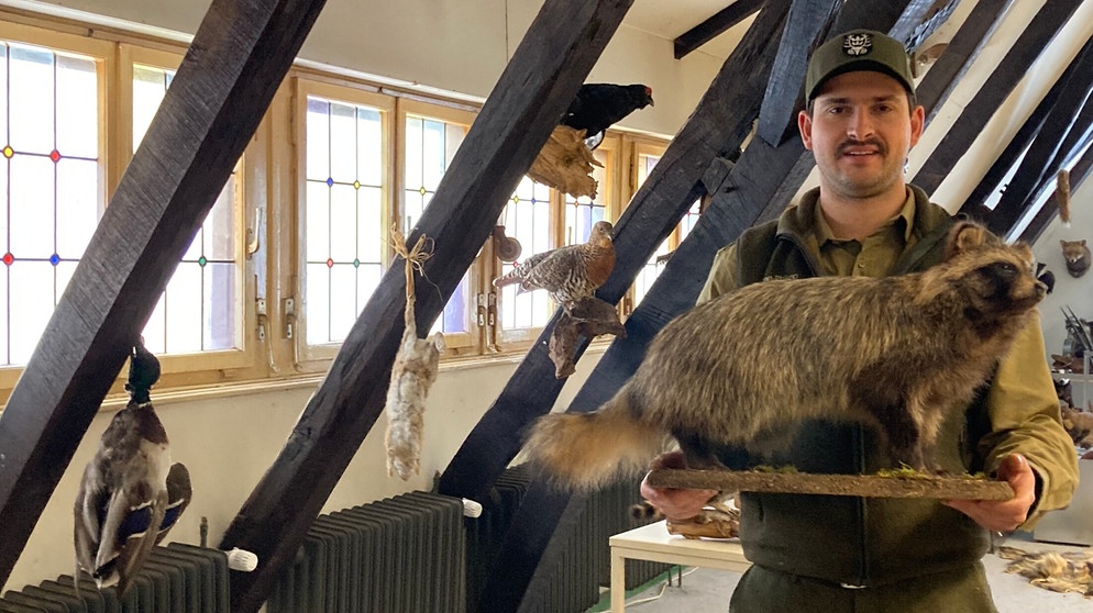 Die neue Generation Jäger: Jan-Phillipp König mit einem ausgestopften Dachs im Seminarraum.  | Bildquelle: BR / Almut Gronauer