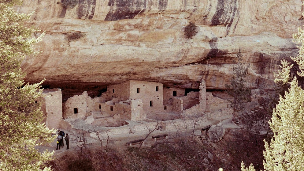 Spruce Tree House. | Bildquelle: BR/SWR/Ralf Ströhle