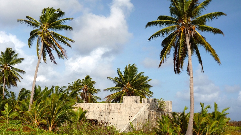 Bunker auf Eneu. Wohin man auf Bikini auch geht, überall wird man an die schreckliche Vergangenheit erinnert. | Bildquelle: BR/SWR/Werner Meyer