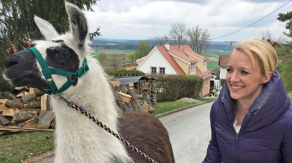 Moderatorin Anna Lena Dörr entspannt mit Lamas auf dem Härtsfeld. | Bildquelle: BR/SWR/Martina Treuter