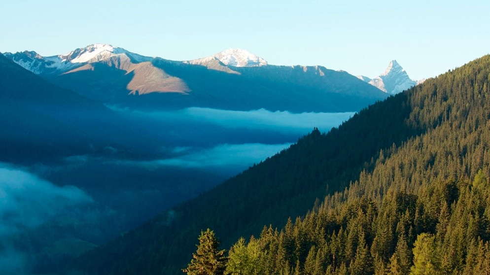 Blick von der Schatzalp. | Bildquelle: BR/NDR/Thomas Schimmack