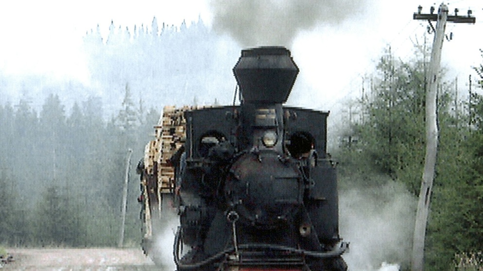 Anfang der 90er Jahre gab es in Rumänien noch die funktionstüchtige Karpatenbahn. Fast 5.000 km Gleise hatten österreichische und ungarische Ingenieure bis 1918 in den Urwäldern der Karpaten verlegt um das Gold der Karpaten, aus den Bergen ins Tal zu bringen. Ende der 90er Jahre gab es noch drei Strecken, die in Betrieb waren: die Bahnen in Orastie, ein Lokomotivfriedhof, in dem eine alte Resitadampflok Tag für Tag den Rangierbetrieb zwischen dem Sägewerk und der nationalen Bahnstrecke übernimmt, die Linie vom Hochtal Commandau nach Covasna, die im Oktober 99 eingestellt wurde und ganz im Norden, nahe der ukrainischen Grenze, die Waldbahn von Viseu de sus, die einzige Verbindung vom Tal zu den hochgelegenen Walddörfern. | Bildquelle: BR/SWR