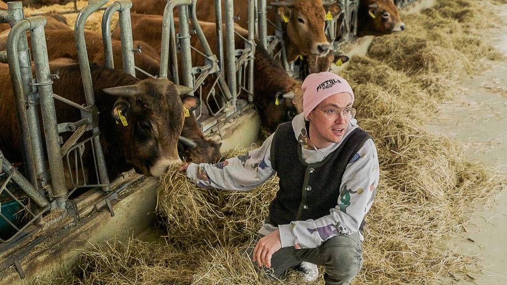Im Stall bekommen die Rinder nur Heu und Sillage. | Bildquelle: WDR/Christoph Berg