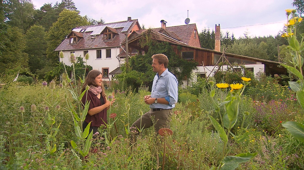 SWR Fernsehen EXPEDITION IN DIE HEIMAT, "Wilde Tiere, tolle Touren - Täler im Pfälzerwald", am Freitag (08.09.17) um 20:15 Uhr. Jens lernt den Reinighof und das Projekt Biotopia kennen – Daniela Schaffart lebt in dieser modernen Kommune. © SWR, honorarfrei - Verwendung gemäß der AGB im engen inhaltlichen, redaktionellen Zusammenhang mit genannter SWR-Sendung bei Nennung "Bild: SWR" (S2). SWR-Presse/Bildkommunikation, Baden-Baden, Tel: 07221/929-23876, foto@swr.de | Bildquelle: SWR