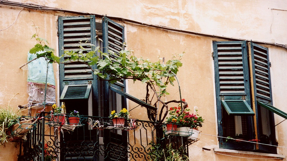 Balkon in Monterosso. | Bildquelle: BR/SWR/Alfons Früh