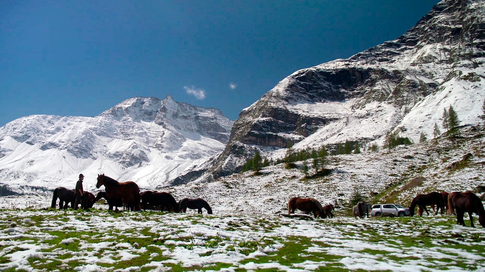 Schnee im August. Ungewöhnlich, aber möglich. Schnee im August. Auf 1.400 Meter Höhe. | Bildquelle: BR/NDR