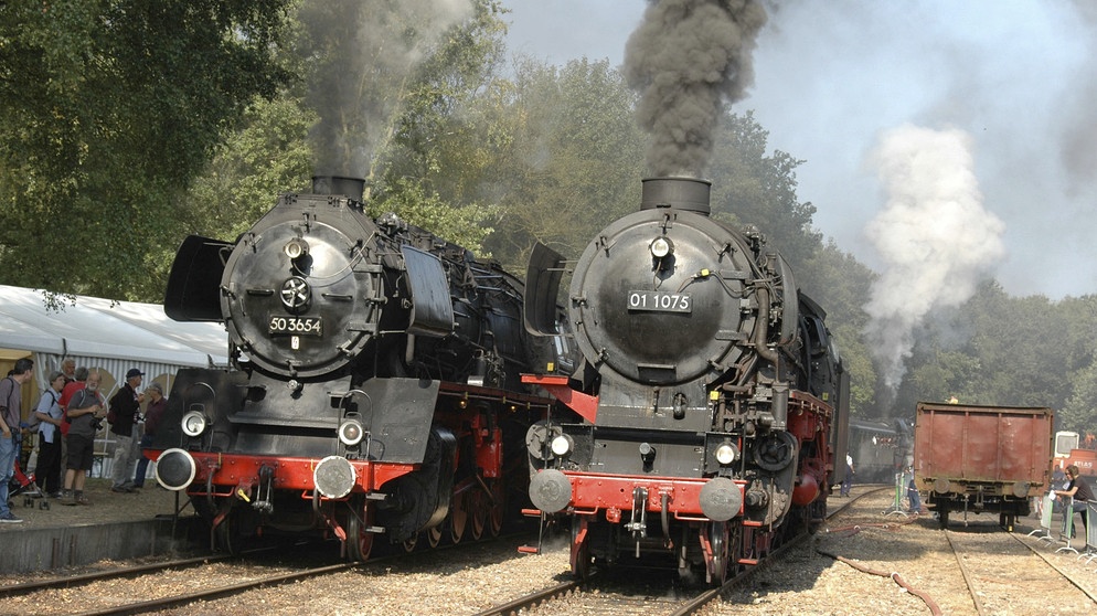 Dampffest der Veluwsche Stoomtrein-Maatschappij: Links Lok 50 3654 der VSM, rechts Gastlok 01 1075 der Stoom Stichting Nederland im Bahnhof Loenen. | Bildquelle: SWR/Rein Korthof