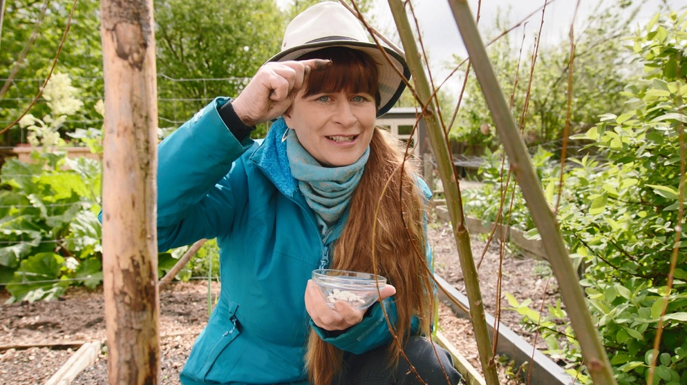 Sabrina Nitsche baut Rankgerüste für Bohnen und Erbsen im Querbeet-Garten | Bildquelle: BR / Michael Ackermann