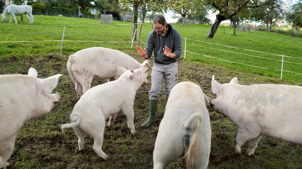 Tierschützer Timo Geuß mit Schweinen auf dem Lebenshof Hofnarr in der Schweiz. | Bildquelle: HR/Christian Gropper