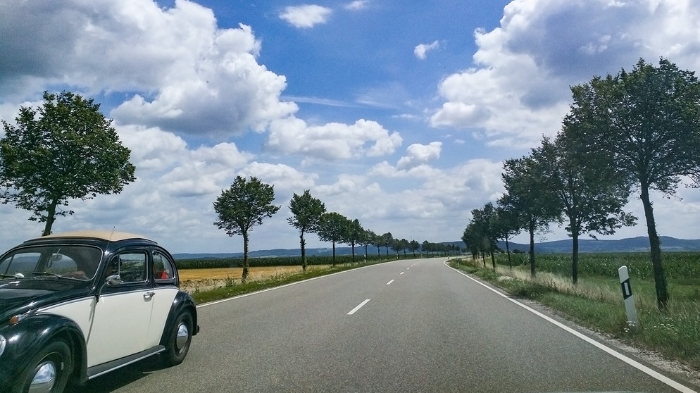Eine neu gepflanzte Allee in Mittelfranken. | Bildquelle: BR/Michael Zehetmair