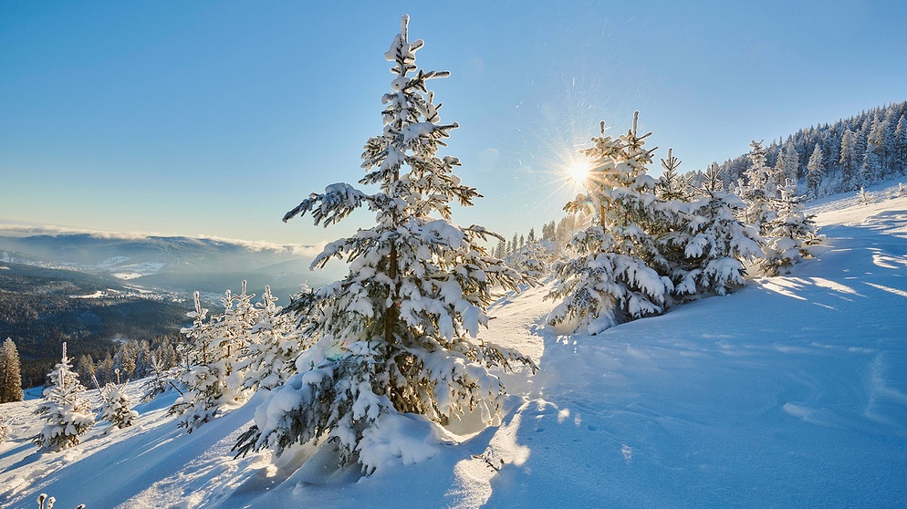 Blick vom Arber auf hügelige Landschaft mit Fichtenwald (Picea abies) im Winter,
Bayerischer Wald, Bayern, Deutschland, Europa | Bildquelle: picture alliance / imageBROKER | David & Micha Sheldon