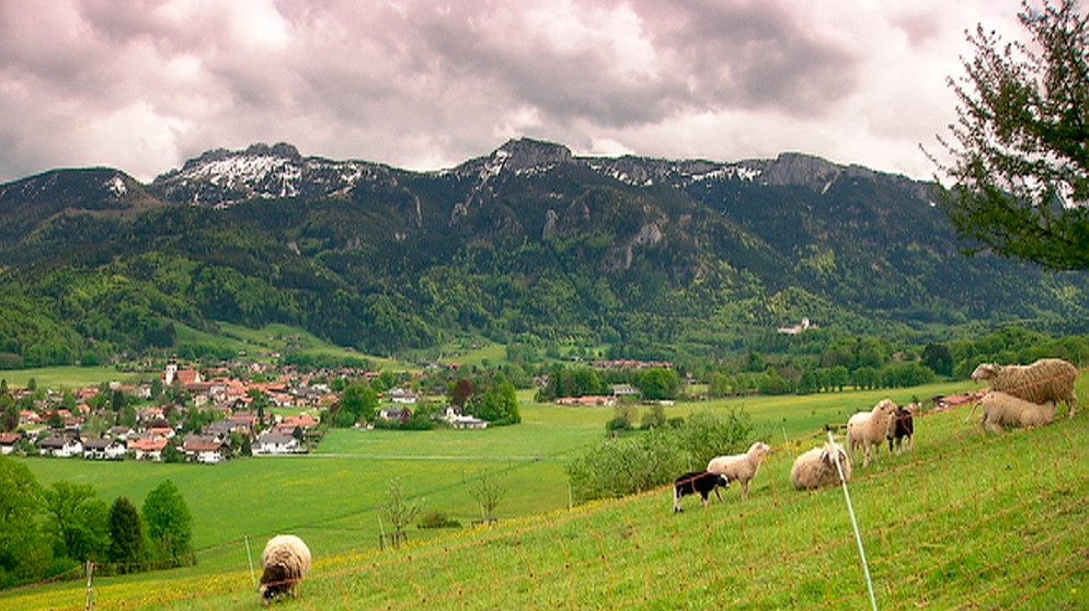 Aschau im Chiemgau - ein Ort wie aus dem Bilderbuch: gelegen mitten in malerischer Berglandschaft, nah am Chiemsee, mit romantischem Schloss, pittoresken Bauernhäusern, malerischer Barockkirche, Seilbahn auf die imposante Kampenwand, 5-Sterne-Hotel mit Spitzenkoch, preisgekröntem Designhotel und vielem mehr. Weiteres Bildmaterial finden Sie unter www.br-foto.de. | Bildquelle: © BR, honorarfrei - Verwendung gemäß der AGB im engen inhaltlichen, redaktionellen Zusammenhang mit genannter BR-Sendung und bei Nennung "Bild: BR"