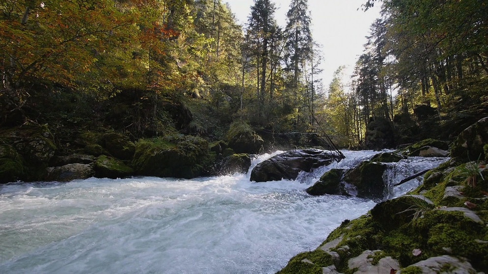 Die Vils zwängt sich durch eine Waldschlucht Richtung Pfronten. | Bildquelle: Honorarfrei lediglich für Ankündigungen und Veröffentlichungen im Zusammenhang mit obiger BR-Sendung bei Nennung: "Bild: BR". Nutzung im Social Media-Bereich, sowie inhaltlich andere Verwendungen nur nach vorheriger schriftlicher Vereinbarung mit dem BR-Bildarchiv, Tel. 089 / 5900 10580, Fax 089 / 5900 10585, Mail Pressestelle.foto@br.de