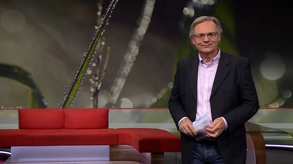 Charly Hilpert moderiert die Frankenschau aktuell. | Bildquelle: BR