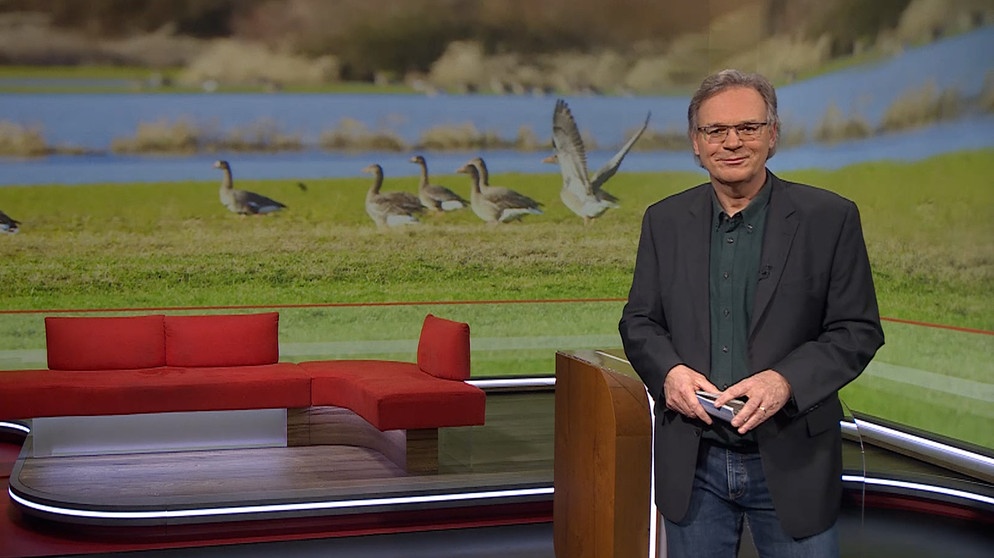 Charly Hilpert moderiert die Frankenschau aktuell. | Bildquelle: BR