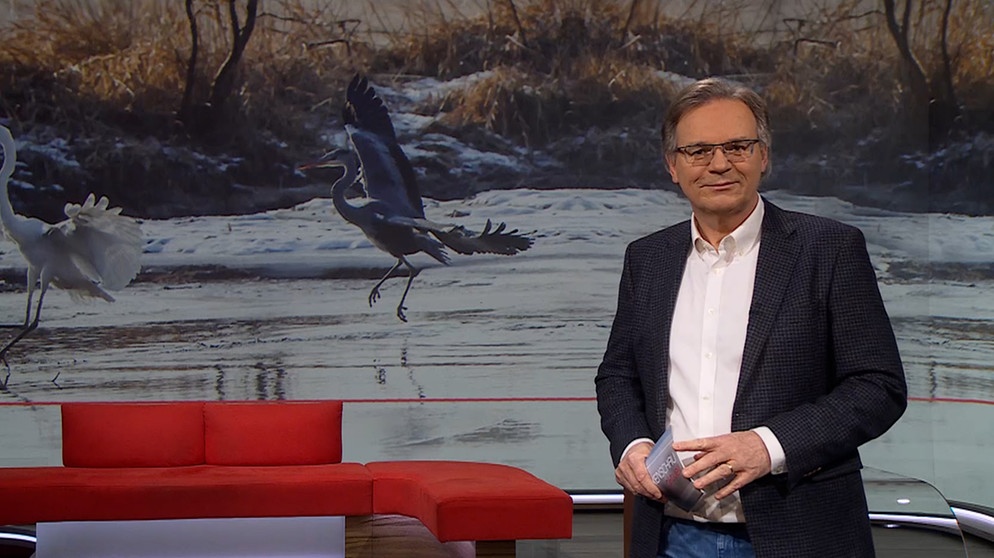 Charly Hilpert moderiert die Frankenschau aktuell. | Bildquelle: BR
