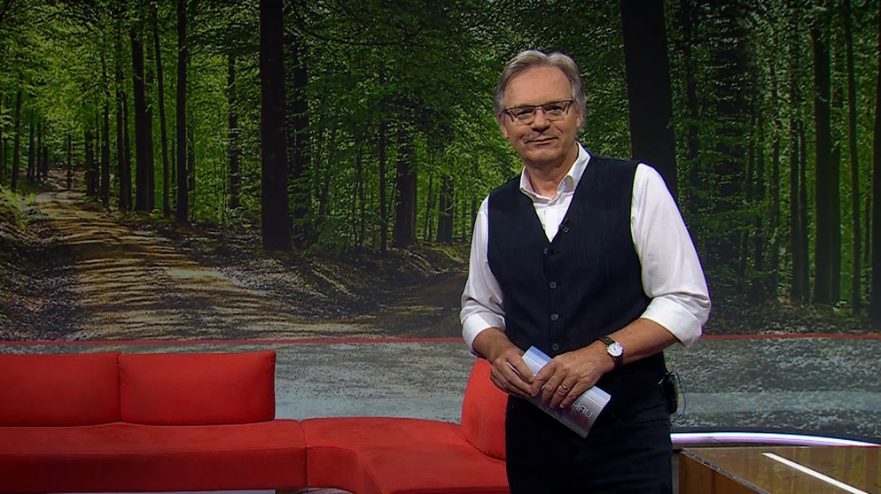 Charly Hilpert moderiert die Frankenschau aktuell. | Bildquelle: BR