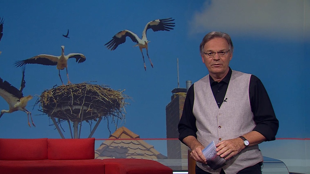 Charly Hilpert moderiert die Frankenschau aktuell. | Bildquelle: BR