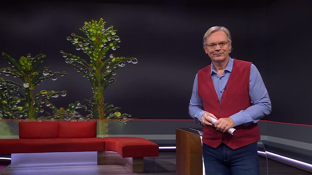 Charly Hilpert beim Moderieren der Frankenschau aktuell. | Bildquelle: BR