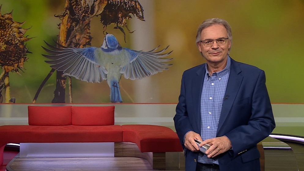 Charly Hilpert moderiert die Frankenschau aktuell | Bildquelle: BR