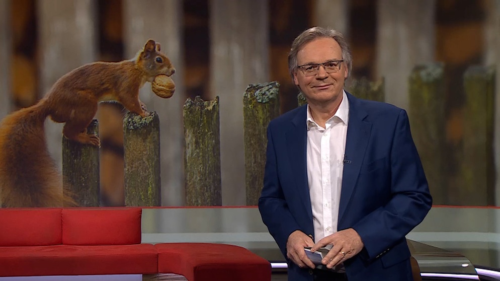 Charly Hilpert bei der Moderation der Frankenschau aktuell. | Bildquelle: BR