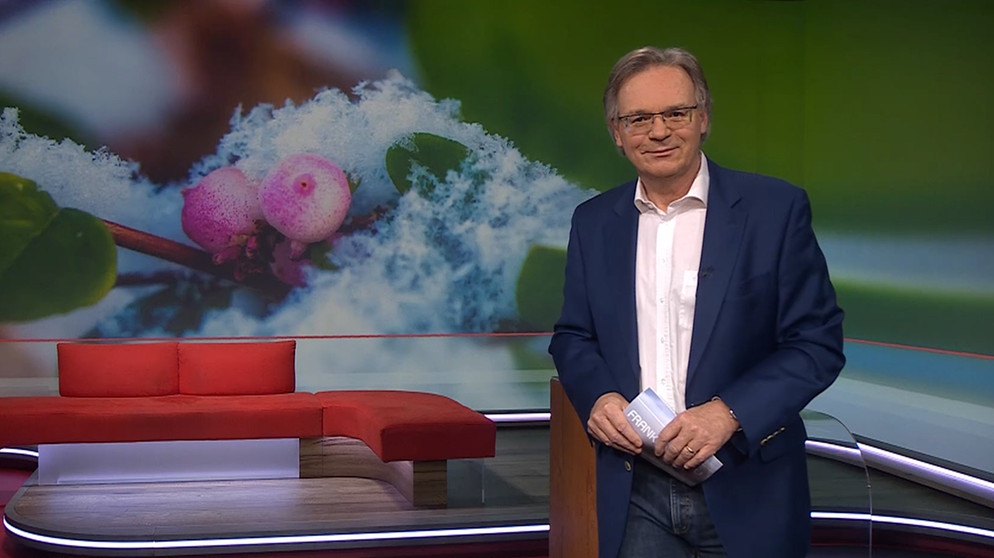 Charly Hilpert moderiert die Frankenschau aktuell. | Bildquelle: BR